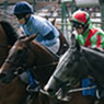 Ripon Races